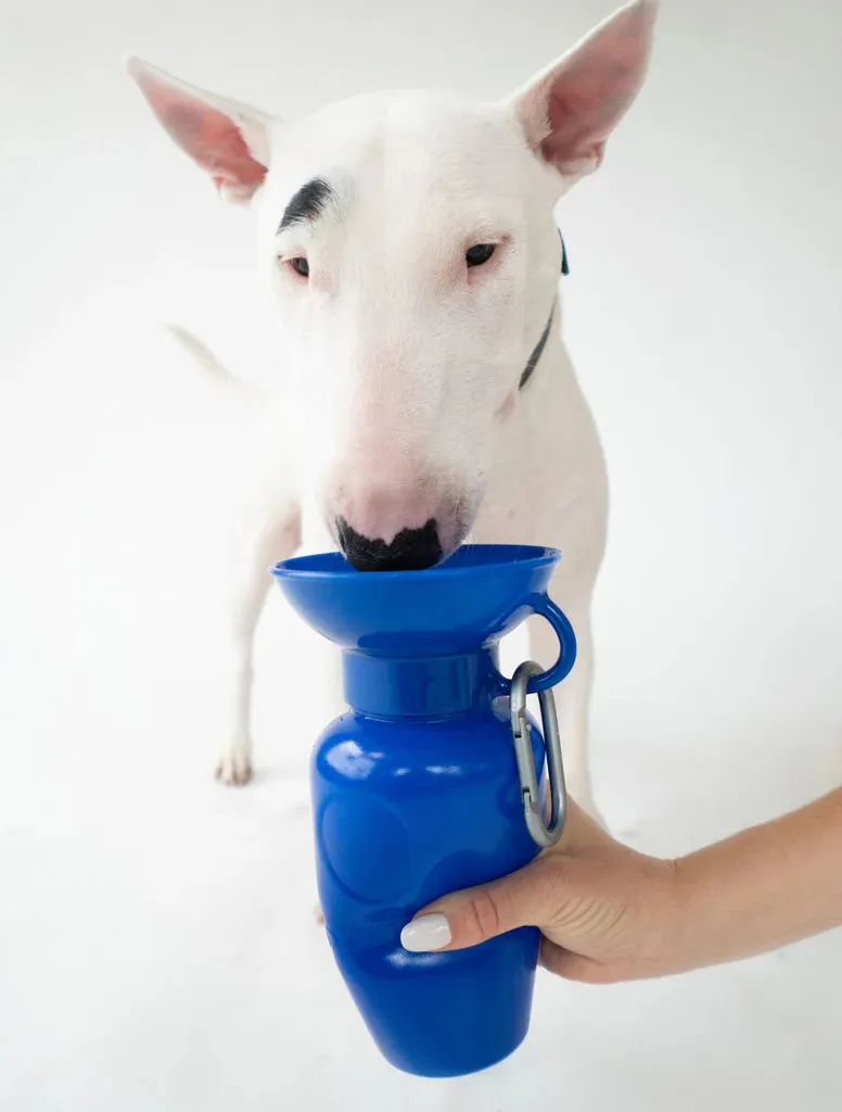 Classic Dog Travel Bottle 22oz - Indigo