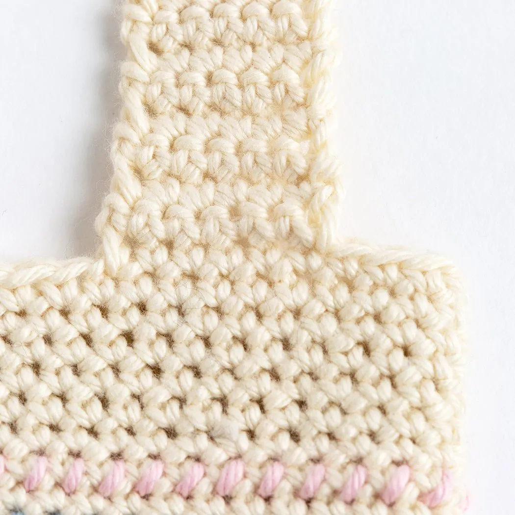 Striped Bottle Holder Crochet Kit