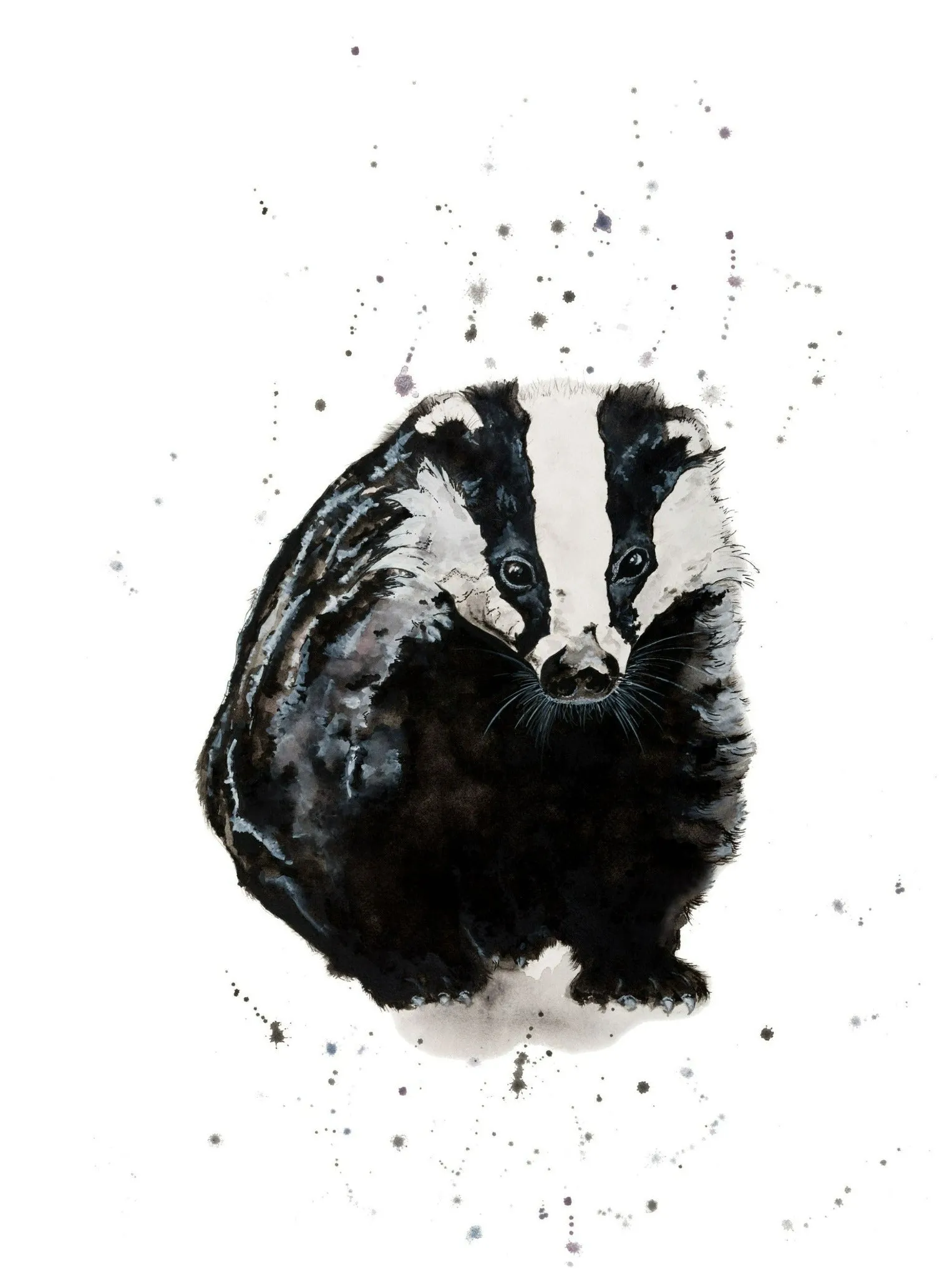 WWF Badger